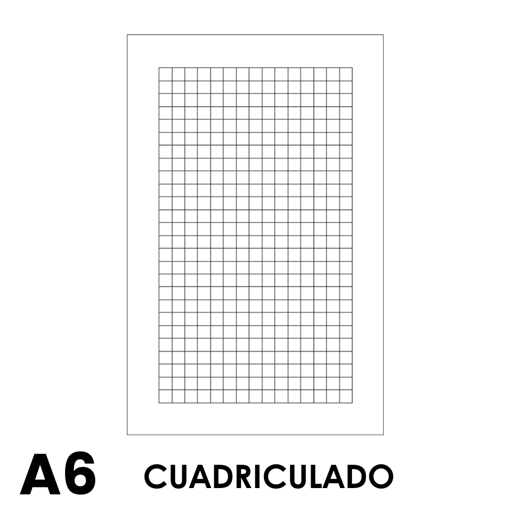 TACOS A6 90GR CLASICO